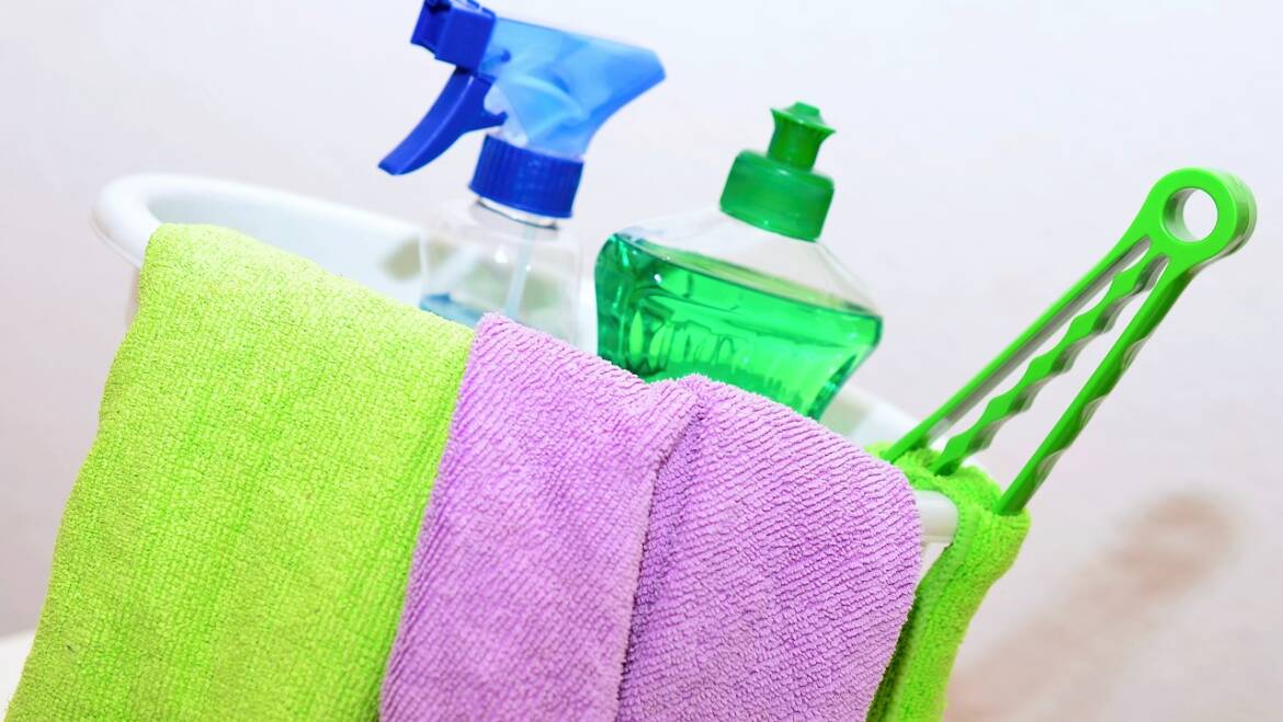 What is in Your…. Cleaning Products?
